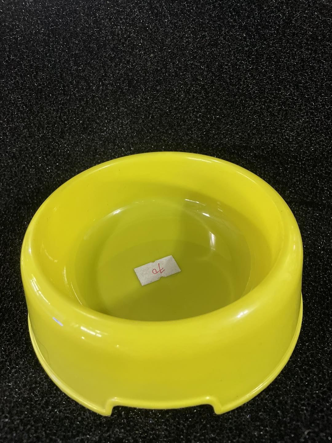 Cute Dog Bowl